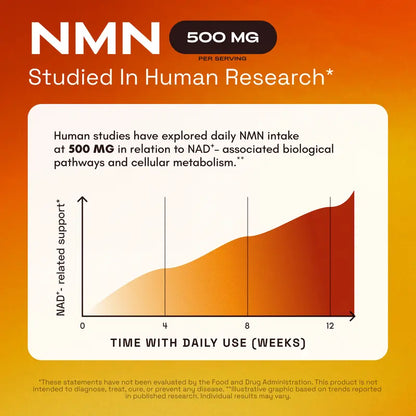 Recharge Cellular Energy & Boost NAD+ Levels Naturally